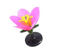 Autentico Colorato Staccabile Fiore di Plastica Modello di Insegnamento Medio Liceo Scienze Biologiche Forniture Educative Modello di Fiore di Plastica per