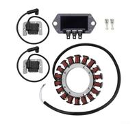 Autilyshop Kit di statore per tosaerba 237878S in metallo efficiente per tosaerba da CV13 a CV680 SV470 SV471 SV481 SV540 SV541 modelli Yard Garden Outdoor Lawn Mower Part Black 4 pezzi set