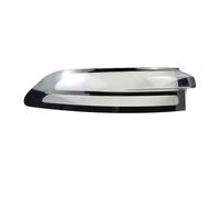 Auto Coperchio lampada Compatibile Con Leapmotor C10 2023 2024 2026 Guscio Fanale Posteriore Copertura Fanale Posteriore Luci Di Parcheggio Guscio Paralume Alloggiamento(Right)