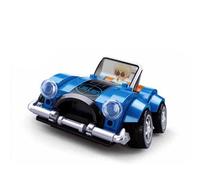 Auto da corsa Sluban club