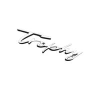 Auto Emblema per MG MG6 2009-2017, Auto Logo Stemmi Adesivo Cofano Anteriore e Posteriore Stemmi per Bagagliaio Posteriore Adesivo Decorazione Accessori,A-Silver