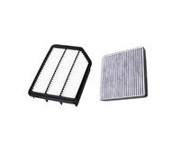 Auto Filtro Dell'aria Per Chery Tiggo 3 1.6L 1.6MT 1.6CVT 2014-2020 Modello T11-1109111AC J60-8107910 Filtro Aria Auto Filtro Abitacolo Filtro Dell'aria