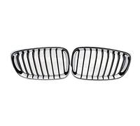 Auto Griglie 1 Paio Griglie Reni Anteriori Griglie Paraurti Anteriore Per BMW Serie 3 2013-2018 Griglie(Semi-plated)