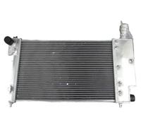 Auto in alluminio per radiatore Alluminio per radiatore per motore Parti Per Citroen Per Saxo-VTR 1996-2004 2 Row