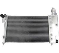 Auto in alluminio per radiatore Auto per radiatore per Citroen per Saxo-VTR 1996-2004 2 file in alluminio per parti del motore