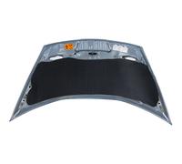 Con Maderschaden Cofano Motore Isolamento Riparazione Tappeto Isolante Auto Pkw