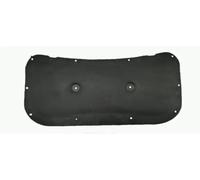 Auto Motore Cotone Isolamento per Jeep Compass 2017 2021 Cofano Isolante Tappetino Scudo Termico Insonorizzazione Calore