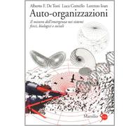 Auto-organizzazioni. Il mistero dell'emergenza dal basso nei sistemi fisici, biologici e sociali