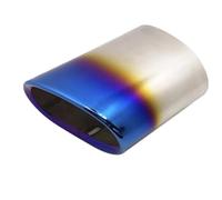 Auto Silenziatore Puntale Marmitta Di Scarico Per BMW Serie 3 318 E90 E91 320d 318d 318i E92 E93 X3 F25 20i 28i E83 2.0i Ugello Per Auto(Blu)