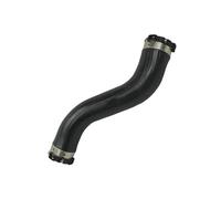 Auto Tubo Flessibile Per BMW Serie 1 2 3 4 118i 218i 318i 418i Ricambi Auto 13717638455 Tubo Flessibile Refrigerante Del Turbocompressore Aspirazione auto Tubo Intercooler Tubo Aspirazione Aria