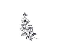 Autoadesivi originali del tatuaggio del braccio del fiore del linguaggio dei fiori, simulazione impermeabile durevole del braccio del fiore del mezzo braccio letterario femminile in bianco e nero