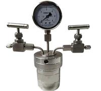 Autoclave, Display del manometro da 100-500 ml con valvole di ingresso e uscita Cristallizzazione Idrogenazione Reattore sintesi idrotermale per Laboratorio(Groen)