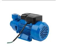 Autoclave Potenza 0,50 Hp (Cavalli) qb60 Elettropompa 35l/M periferica, Tensione 230 V, Frequenza 50 Hz POMPA MOTORE ELETTRICO PER ACQUA