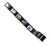 Autocollants Pour Planificateurs Et Calendriers,Design Film 365 Jours Date Artisanat | Autocollants De Calendrier Pour Adultes,Pour Fille Salle De Classe Entreprise Enseignant École