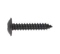 Autofilettanti Vite 4.8 x 25mm Flangiato Testa Nera Pozi Confezione Di 100 -