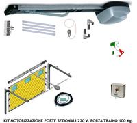 AUTOMATISMO PORTA SEZIONALE MOTORE TRAINA 100 KG 220/24 V SBLOCCO SU SERRATURA