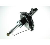 AUTOMEGA 110012410 Ammortizzatore per FORD