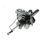 AUTOMEGA 110018010 Ammortizzatore per FORD,VOLVO