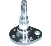 AUTOMEGA 110043410 Perno Assale Pignone Posteriore Sinistro