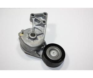 AUTOMEGA 130015710 Braccio tenditore, Cinghia Poly-V per AUDI,FORD,SEAT,SKODA,VW