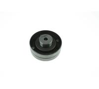 AUTOMEGA 130042810 Galoppino/Guidacinghia, Cinghia dentata per AUDI,VW