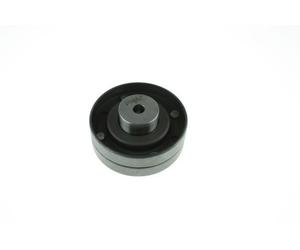 AUTOMEGA 130042810 Galoppino/Guidacinghia, Cinghia dentata per AUDI,VW