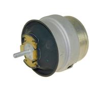 Supporto motore 130058410 AUTOMEGA per AUDI A4 B5 A6 C5 A6 C5 Avant A3 A4 B6 TT
