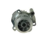 AUTOMEGA 160010110 Pompa dell’acqua, raffreddamento motore per AUDI,MITSUBISHI,S