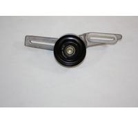 AUTOMEGA 160088310 Rullo tenditore, Cinghia Poly-V per CITROËN,PEUGEOT