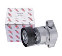 AUTOMEGA 160101010 Tendicinghia, Cinghia Poly-V per OPEL