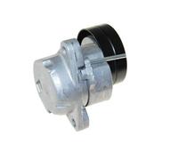 AUTOMEGA 160101110 Braccio tenditore, Cinghia Poly-V per OPEL