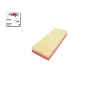 AUTOMEGA 180016810 Filtro aria per VW