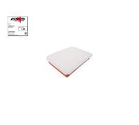 AUTOMEGA 180021110 Filtro aria