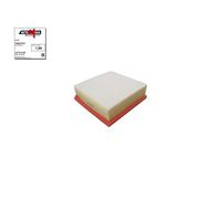 AUTOMEGA 180021910 Filtro aria per ABARTH,ALFA ROMEO,CHEVROLET,FIAT,OPEL