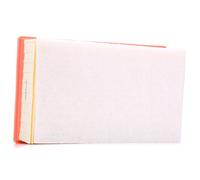 Filtro aria Cartuccia filtro 180029110 AUTOMEGA per CITROËN PEUGEOT