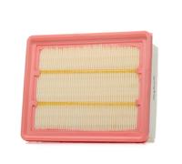 AUTOMEGA 180029210 Filtro aria