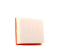 Filtro aria Cartuccia filtro 180031710 AUTOMEGA per RENAULT OPEL NISSAN