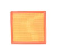 AUTOMEGA 180031810 Filtro aria