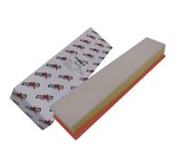 AUTOMEGA 180033810 Filtro aria per CITROËN,PEUGEOT