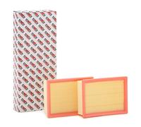 AUTOMEGA 180043910 Filtro aria