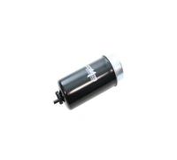 AUTOMEGA 180053310 Filtro carburante per FORD,LTI