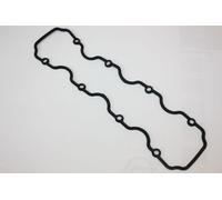 AUTOMEGA 190063810 Guarnizione, Copritestata per OPEL