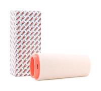 AUTOMEGA 180067110 Filtro aria motore Cartuccia filtro