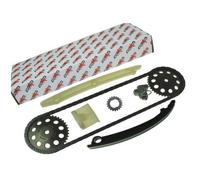 AUTOMEGA Set Di Catena A Cruna Adatto Per Opel Corsa D 1.2 1.0 S07 F08 F68 A H00