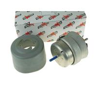 AUTOMEGA Supporto Motore Compatibile Per Audi A4 8E2 B6 8EC B7 8E5 8ED