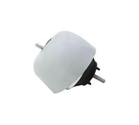 AUTOMEGA Supporto motore Supporto idraulico Anteriore Dx Compatibilità con VW PASSAT 3B3 130030610