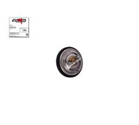 AUTOMEGA Termostato Refrigerante 87°C per Audi Allroad VW Passat Variant