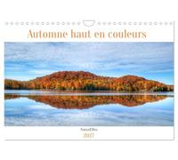 Automne haut en couleurs (Calendrier mural 2027 DIN A4 vertical), CALVENDO calendrier mensuel: L'automne, une saison où la nature joue les artistes!