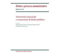 Autonomia negoziale e concessioni di diritto pubblico
