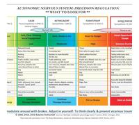 Autonomic Nervous System Table